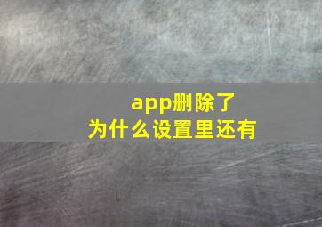 app删除了 为什么设置里还有